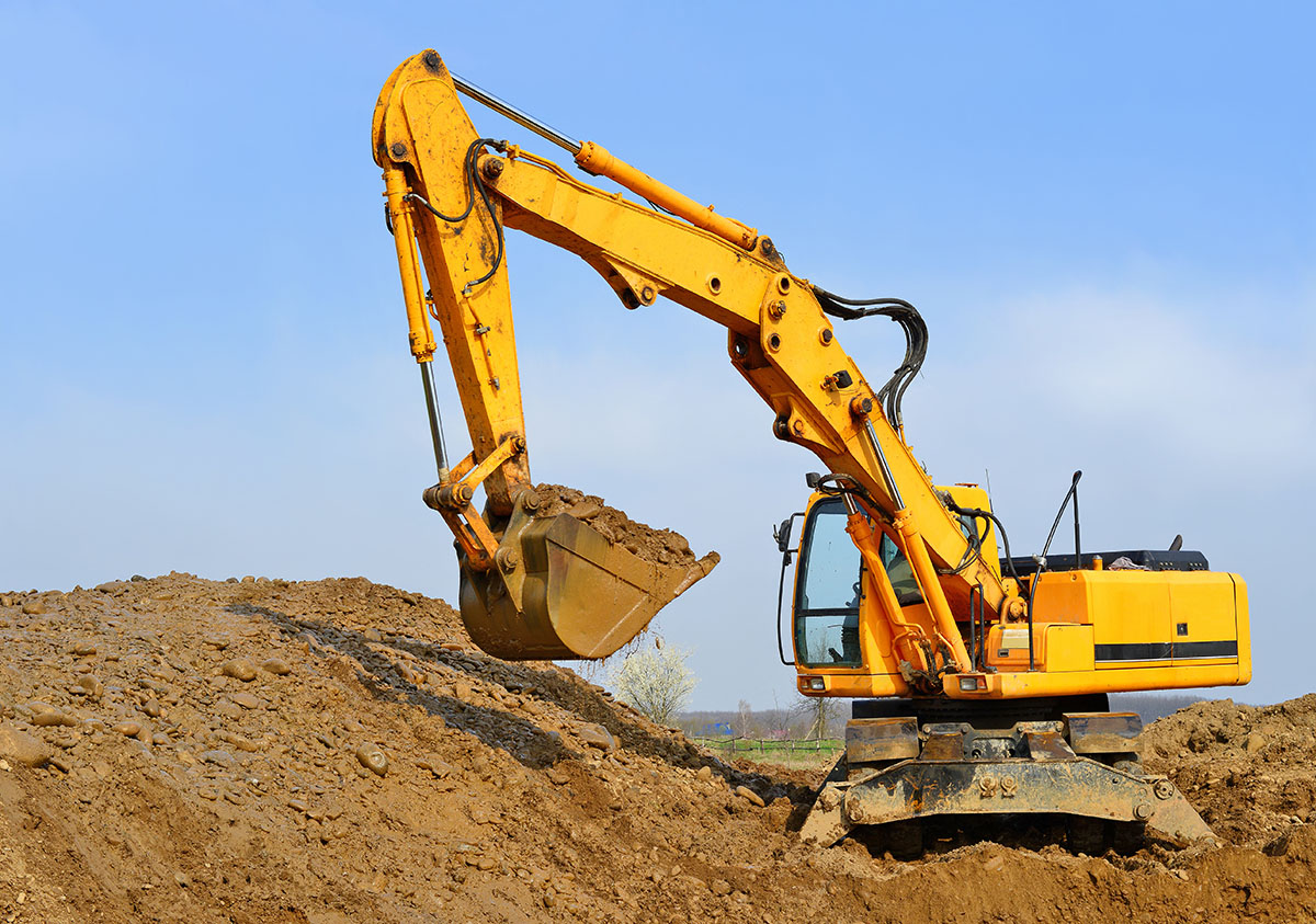 Read more about the article יוקלר
